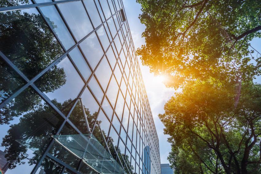 仰望一座玻璃幕墙的现代化办公大楼, 阳光透过附近一棵树的绿叶照进来